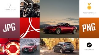 Extract and animate images from PDF with Edition Digital