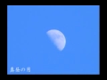真昼の月
