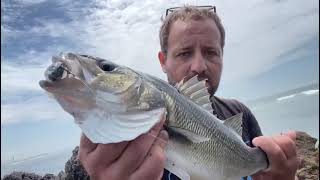 ROBALO AO SPINNING COM O VINIL SABA, COR: GREEN JACK