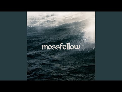 mossfellow & Samuel Fox - How Long Does This Last