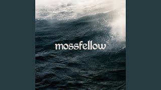 How Long Does This Last - mossfellow & Samuel Fox