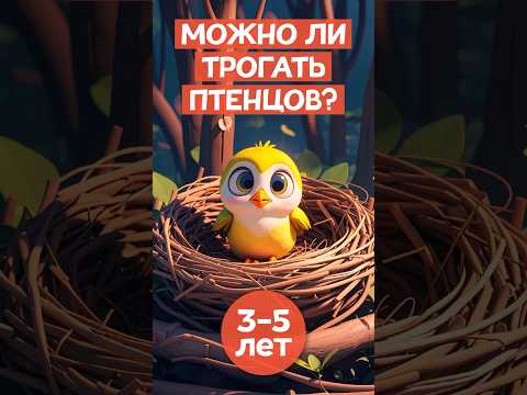 Можно ли трогать 🐥 птенцов? #сказкидлядетей #птенцы #почемучка #сказкинаночь #фактыоживотных