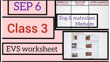 Class 3 EVS Worksheet 6/9/2021 # English and Malyalam medium #kitevicters activities #online class