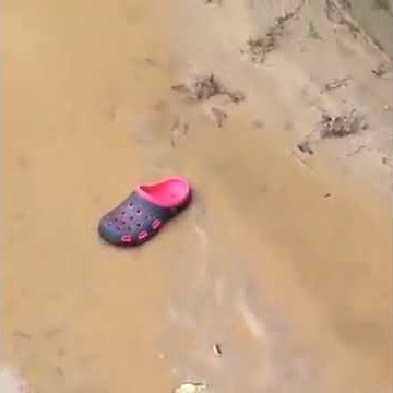 Penampakan buaya besar di sungai Kelantan