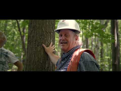 Vidéo: Qu'est-ce qu'un corridor forestier?