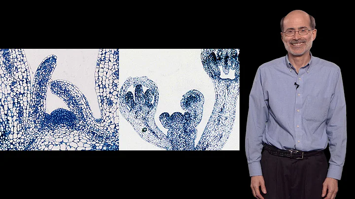 Richard Amasino (U. Wisconsin-Madison, HHMI) 1: How plants “know” when to flower - DayDayNews
