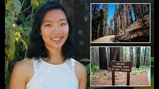 29-year-old Google engineer dies in freak accident on popular Yosemite trail