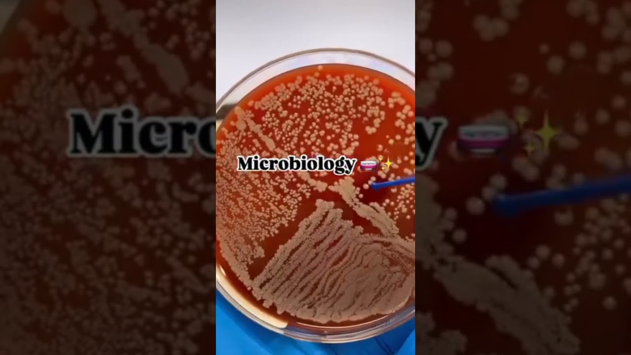 microbiology 