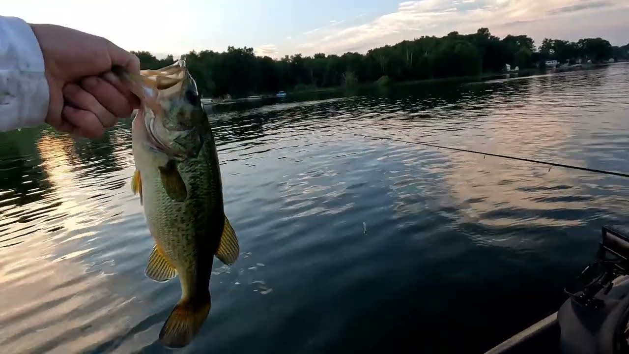 Summer Bass Fishing with a Surprise!