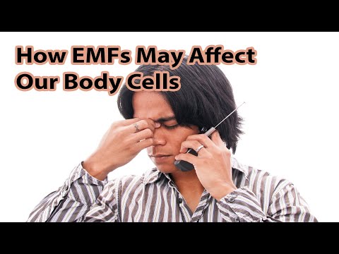 How EMFs May Affect Our Body Cells Make The Name &rsquo;Cell&rsquo; Phone The Ultimate Irony