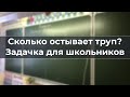 Сколько остывает тpyп? Задачка для школьников