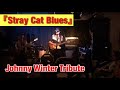 Capture de la vidéo 『Stray Cat Blues』(Johnny Winter Trbute)