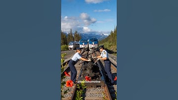 Old Railway Switches and Train Braking Systems in the jungle #train #railway #shorts