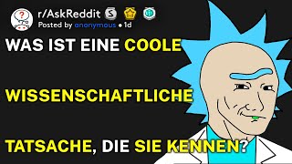 Was Ist Eine Coole Wissenschaftliche Tatsache, Die Sie Kennen? Raskreddit Deutsch
