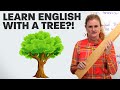 Apprenez le vocabulaire anglais avec un arbre 