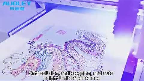 🖨️ Audley A1/A3 UV Flatbed Printer – Dual Epson F1080 Heads | Auto Height | High-Precision Printing