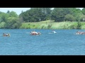 Canadian Dragon Boat Championships 2014 ★ Race 42 ★ Fort Langley Canoe Club, Quinte Dragon Boat Trai