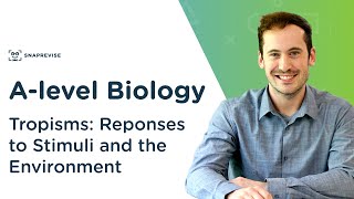 Plant Responses: Tropisms | A-level Biology | OCR, AQA, Edexcel