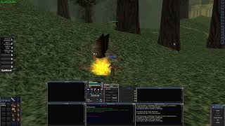 I Finally Got EverQuest Project Quarm to Work in Linux!