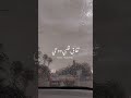 ضميني امجد جمعة