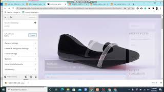 Wordpress website Extra theme customization MENU PLUGINS THEMES PAGES development