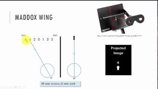 Maddox Wing