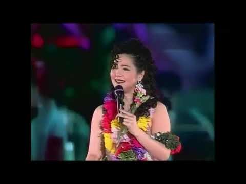 1993.3.27 鄧麗君演唱《我只在乎你》美得像個仙女一樣,懷念您,麗君小姐