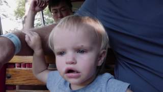 A Trip to the St. Louis Zoo - VLOG-106