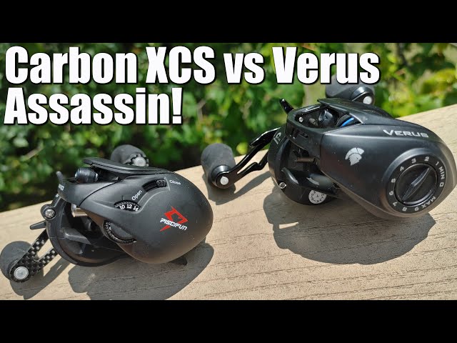 Piscifun Carbon XCS vs KastKing Verus Assassin  A Budget Baitcasting  Battle! Round 2! 