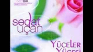 Sedat Ucan - Acin Verin Su Ravzayi Resimi