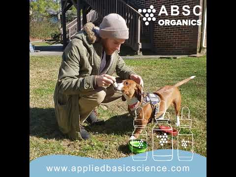 The Importance of Third-Party Testing for CVS CBD Gummies for Anxiety