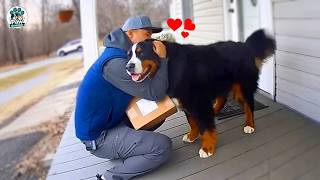 😂 When Delivery Drivers Becomes Friends with Fur Babies | Funny Dog Videos