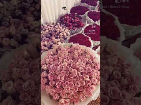 واما تجيبلي شويه ورد ببقى طايره ومش على الارض اشترك بل قناة وفعلو الجرس ليصلكم كل جديد