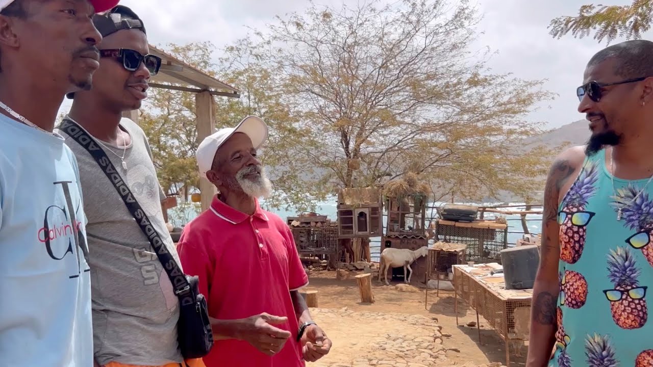 UM DIA NA CASA ARMINDINHO parte 1