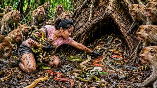 72 Hours Full Process 🔥 Giant Venomous Snake Nest Found In Tree Stump | Rescuing Monkey From Danger!