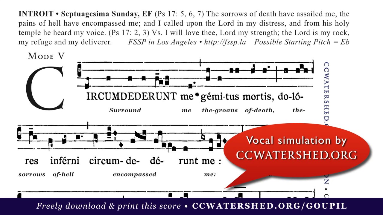 INTROIT (Septuagesima) • “Circumdedérunt me gémitus mortis”