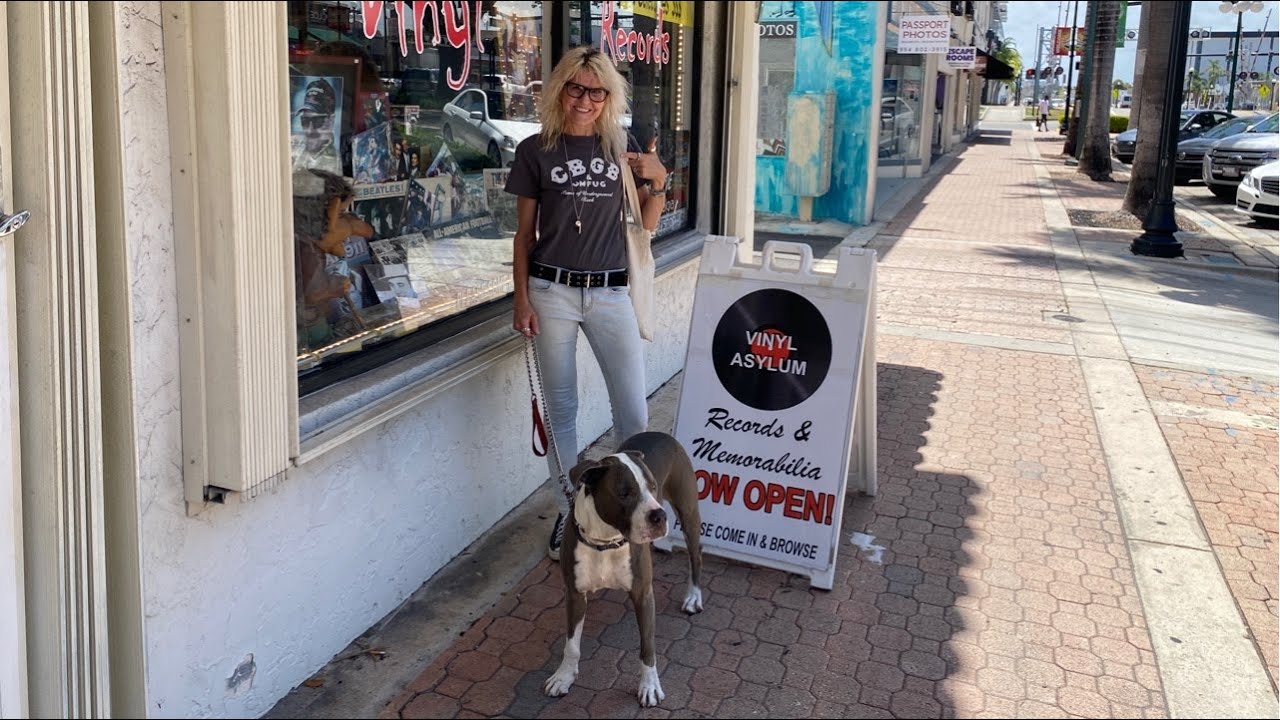 LIVE Vinyl Asylum Records Vinyl Record Shopping & Vintage Oddities in Hollywood, Florida