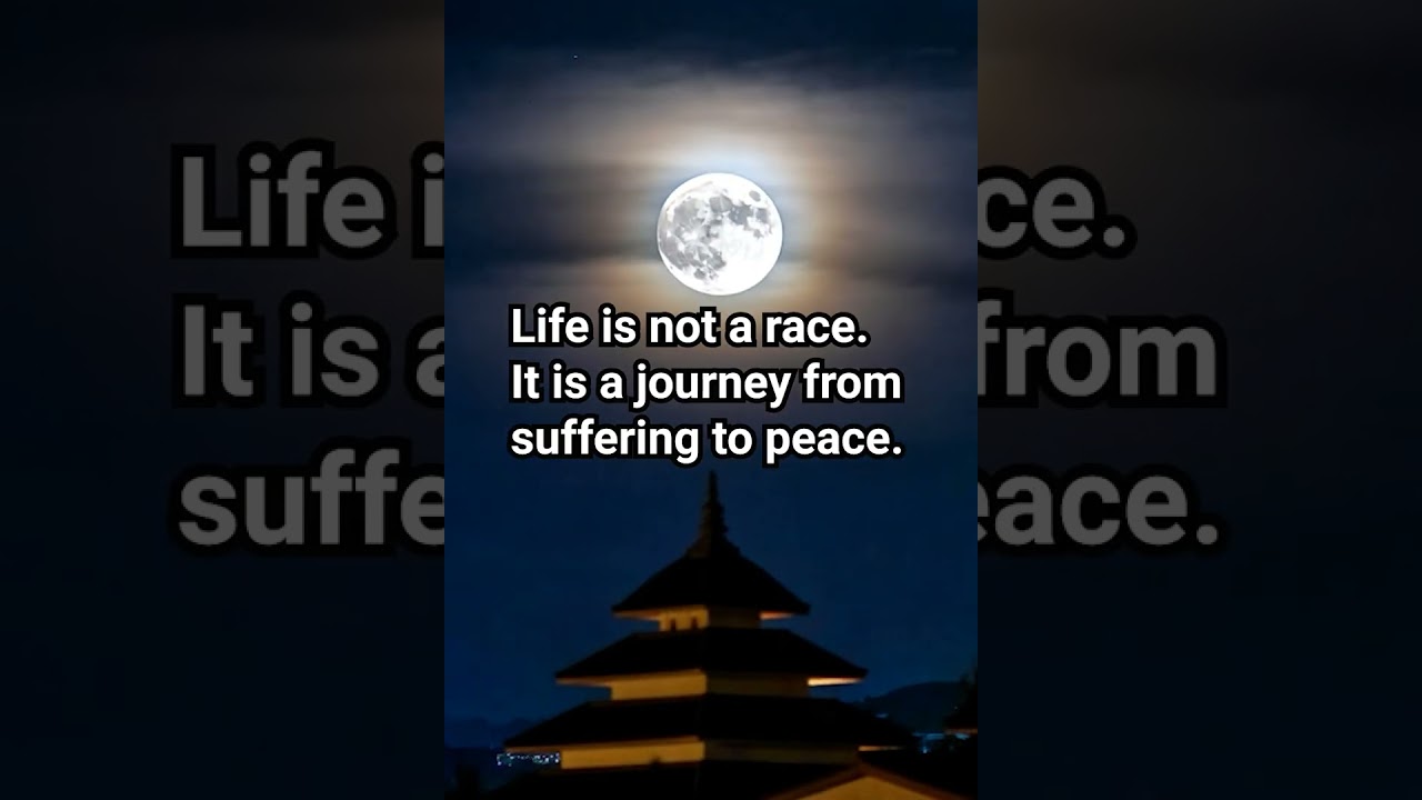 Жизнь непостоянна | Жизнь непостоянна. 