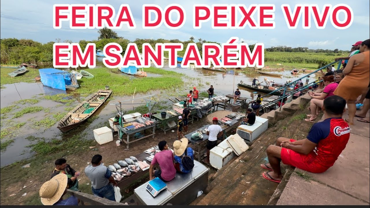 FEIRA DO PEIXE VIVO EM SANTARÉM!