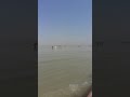 الهور في محافظه ميسان شي جميل 