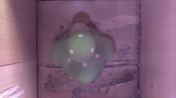 Raspberry Pi bird box