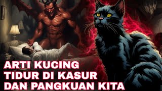 ARTI KUCING TIDUR DI KASUR DAN DI PANGKUAN KITA MENURUT KITAB PRIMBON_ARTI KUCING TIDUR DEKAT KITA!!