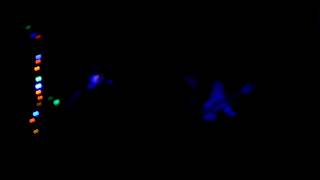 Shook Twins - Time to Swim - Northwest String Summit