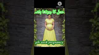 4th week of pregnancy symptoms and tests