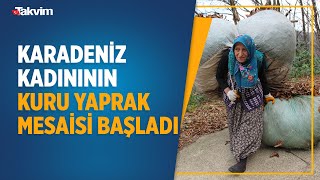 Onlarca Kiloluk Ağırlıkları Sırtlarında Taşıyorlar Karadeniz Kadınının Kuru Yaprak Mesaisi Kamerada