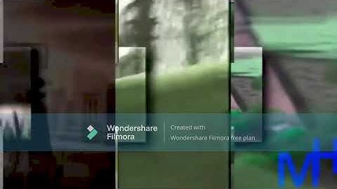 38 Shuric Scans With Are Slides In Green Lowers