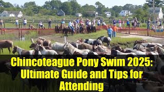 Chincoteague Pony Swim 2025: Ultimate Guide and Tips for Attending