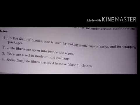 Does Jute Absorb Water