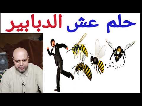 تفسير حلم رؤية عش الدبابير في المنام تفسير الأحلام Dream Interpretation محمود منصور