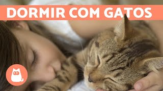 Faz mal DORMIR com GATOS?  Prós e contras